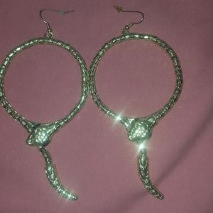 Fashion earrings